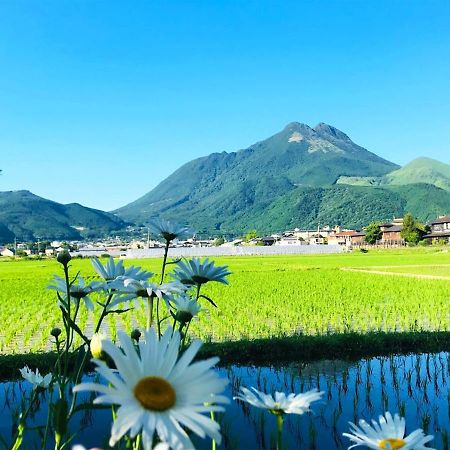 由布市 ゆふいんフローラハウス Bed & Breakfast エクステリア 写真