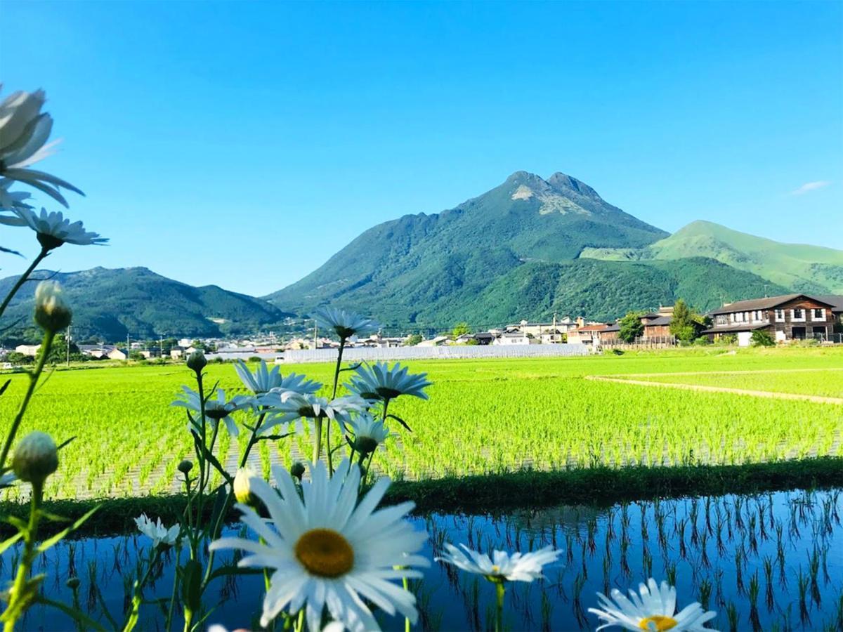 由布市 ゆふいんフローラハウス Bed & Breakfast エクステリア 写真