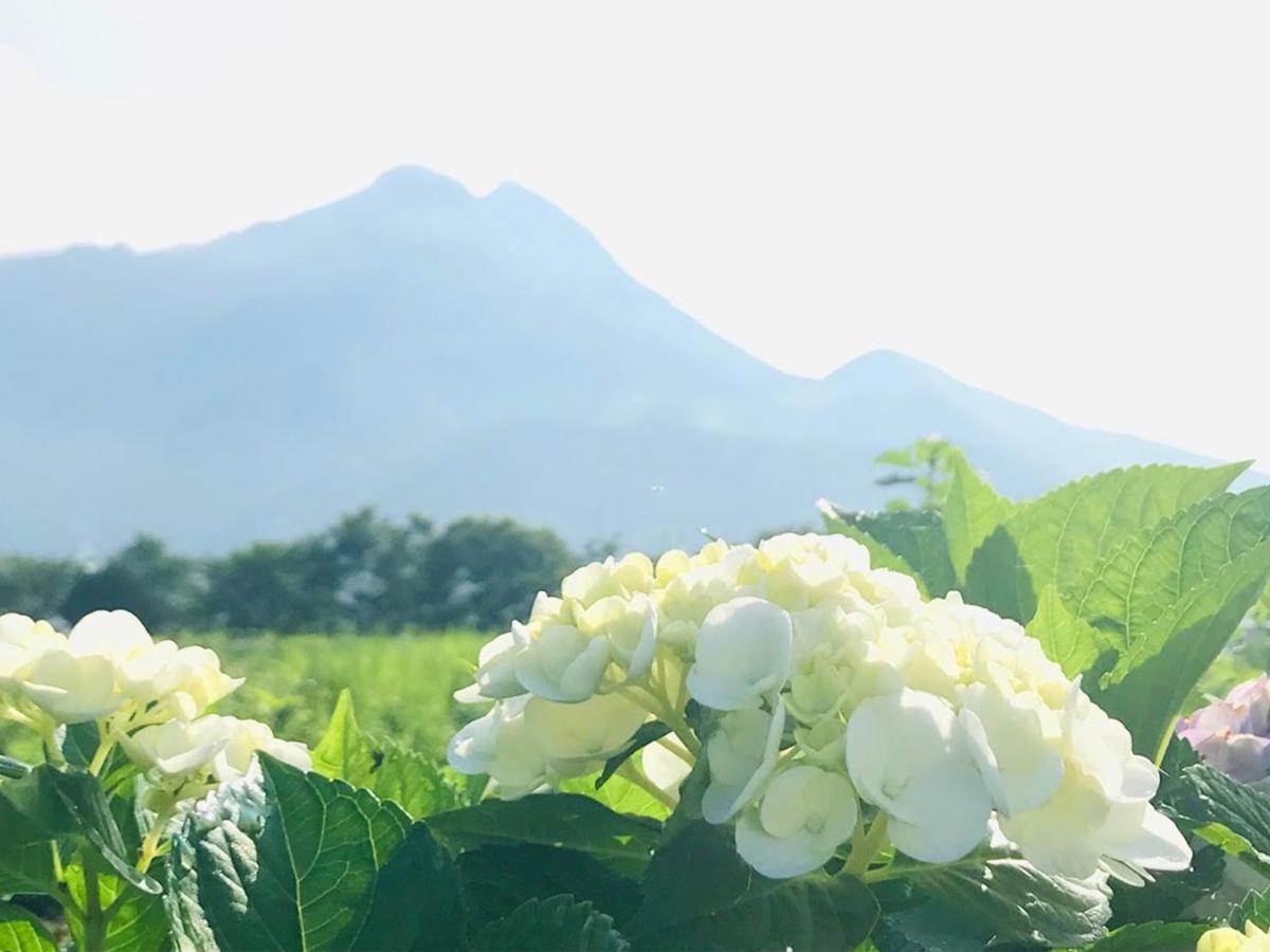 由布市 ゆふいんフローラハウス Bed & Breakfast エクステリア 写真